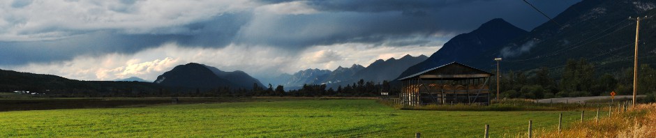 On the road south of Golden...